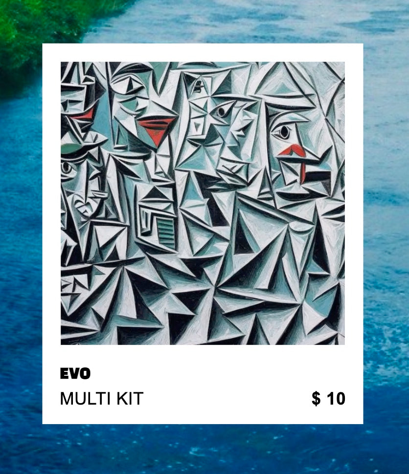 EVO MULTI KIT