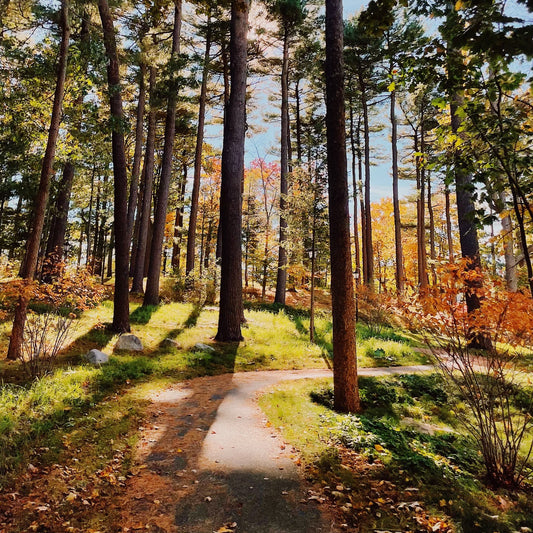 YOUNGERNEXTLIFE PRODUCTION SUITE