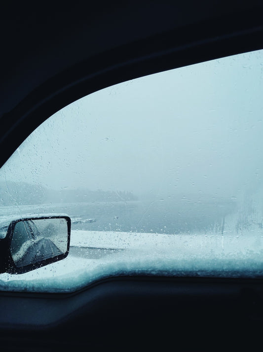 Premium Membership Black Friday Sale (2 FREE MONTHS)